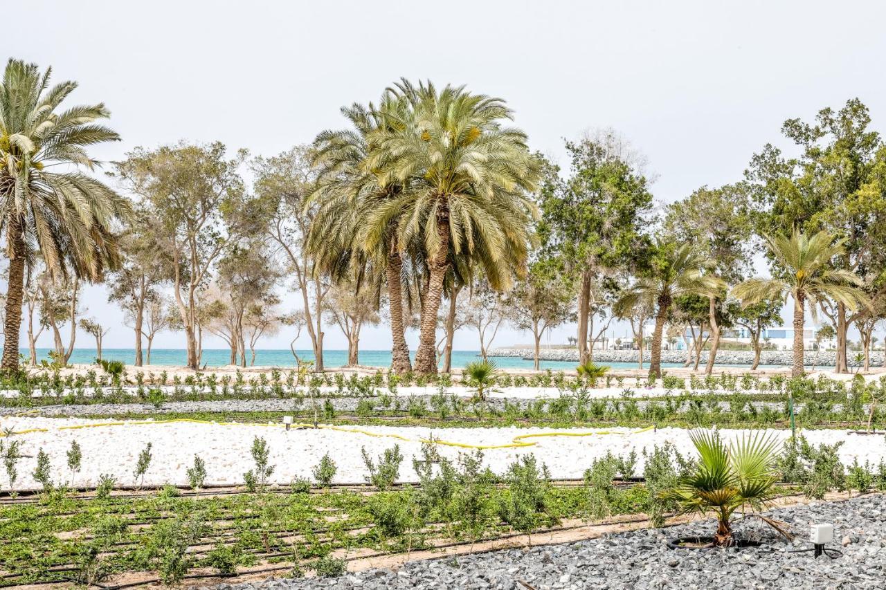 Dhafra Beach Hotel Джебель-Данна Екстер'єр фото